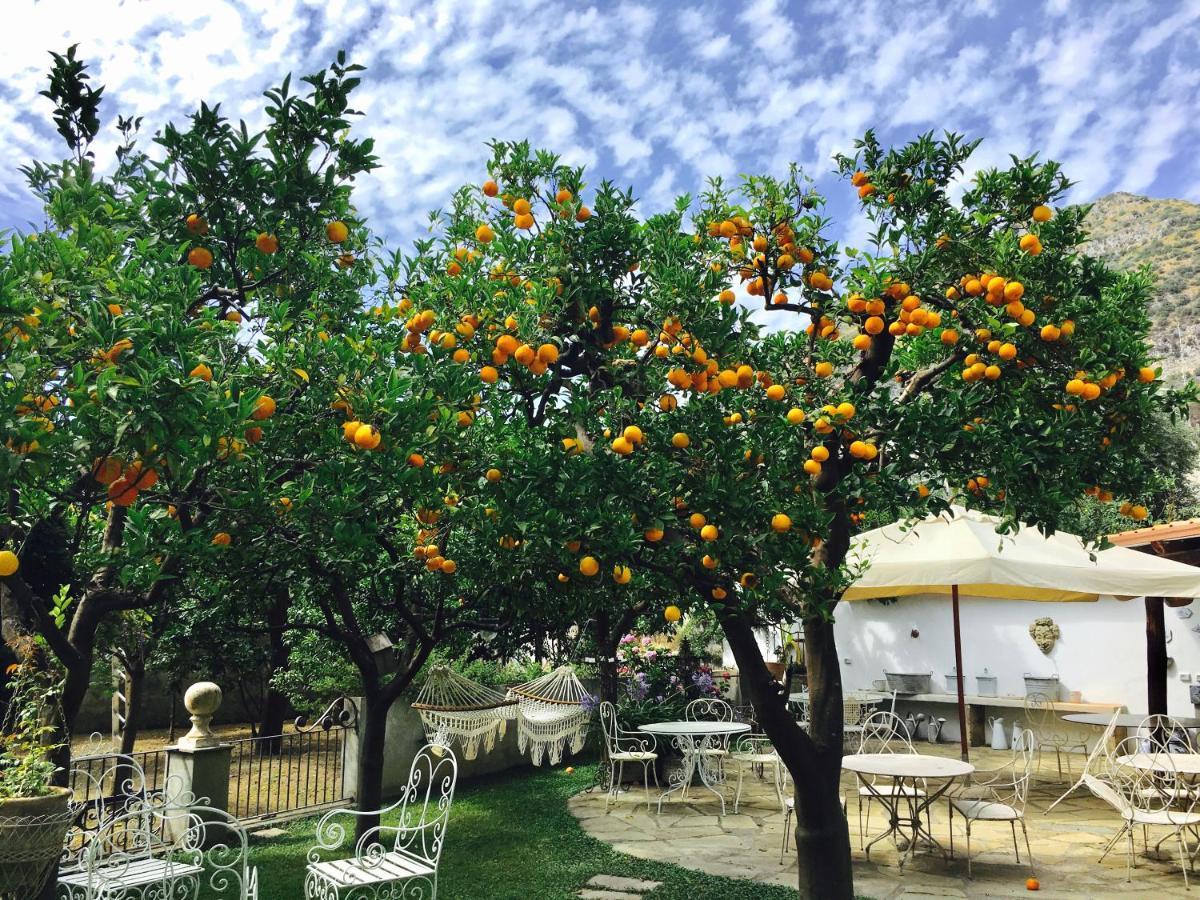 Palazzo Cacace Relais Hotel Мета Екстериор снимка